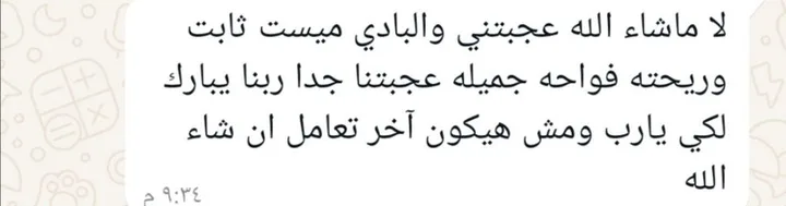 رسالة حقيقية من عميلة على واتساب
